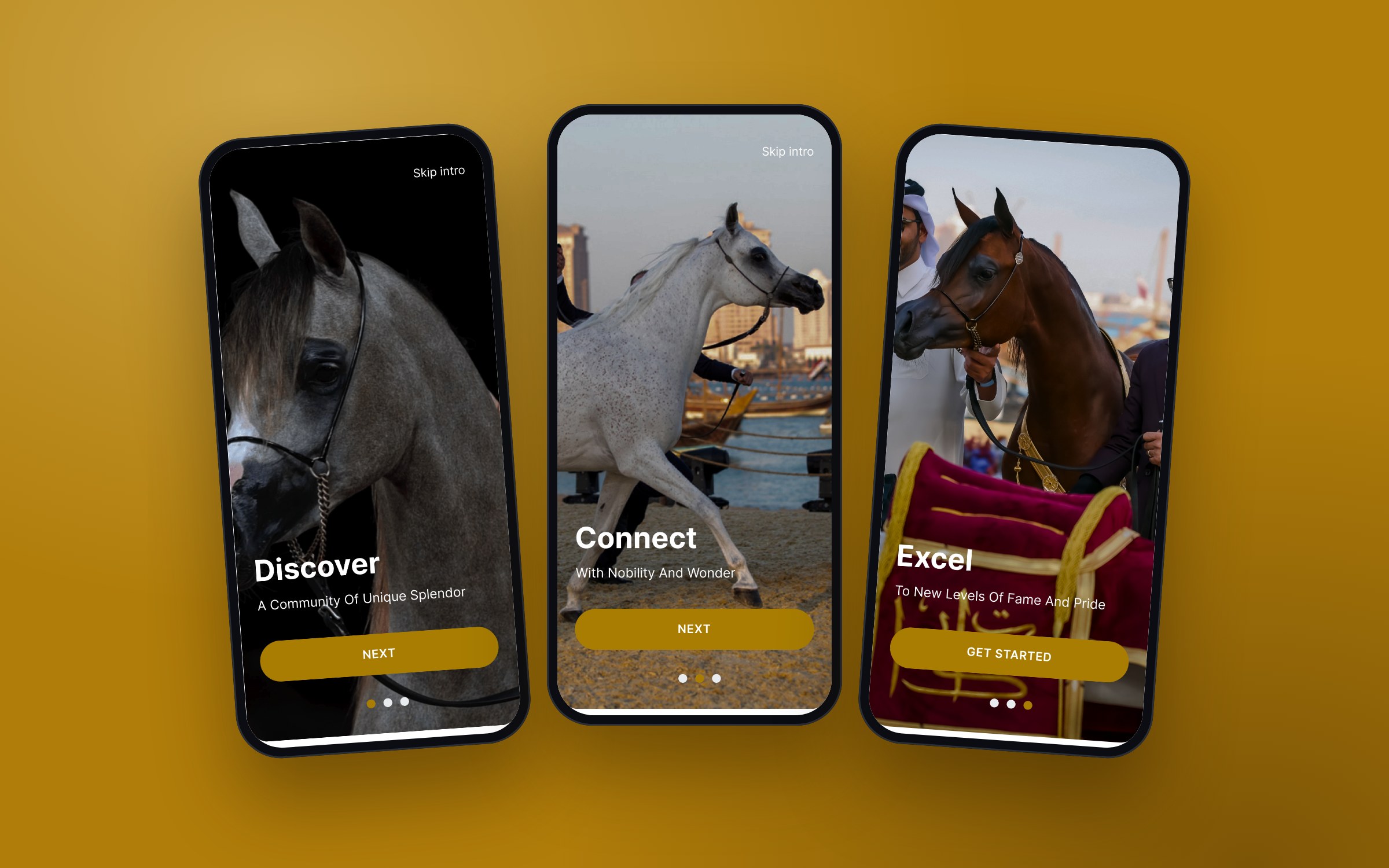 Onboarding: Discover, Connect, Excel.