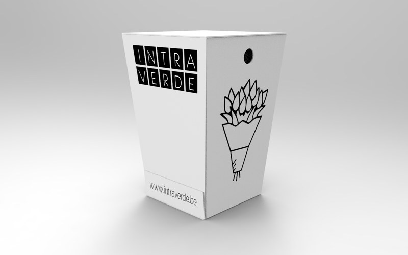Intraverde — the flower box that becomes a vase